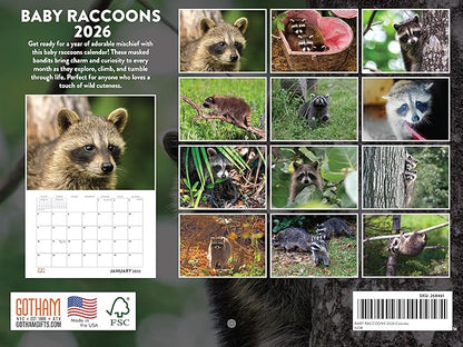 Baby Raccoon Calendar 2026 Wall 12 Month Raccoons Gifts For Racoon Lovers Women Men Monthly Calender | American Made In The USA