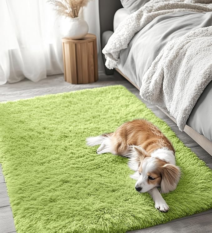 OLANLY 3x5 Machine Washable Small Bedside Rug, Soft Fluffy Shaggy Rugs for Living Room, Bedroom, Indoor Floor Carpet for Kids Girls and Boys, Preppy Dorms, Nursery, Home Decor Aesthetic, Grass Green