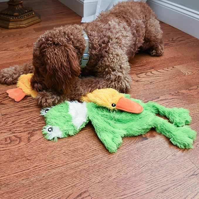 FGA MARKETPLACE Frog-Grey Rabbit-Duck Flat NO Stuffing NO Squeak Plush Dog Toy, Funny Style Will Entertain Your Pet for Hours, Recommended for Small and Medium Dog 21 INCH Long