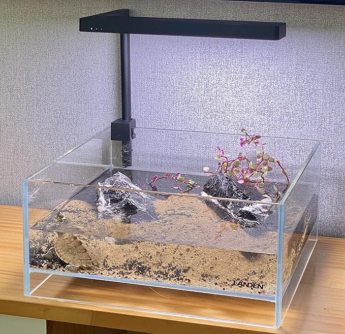LANDEN Glass Air Aquarium Tank Multi-Scene Landscape Aquarium, 1.6Gallon Rimless Low Iron Shallow Tank,10.63" W×10.63" D×4.72" H (27cmx27cmx12cm) 5mm Thickness