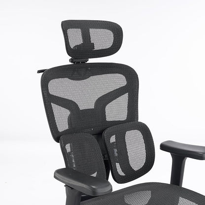 High-Back Ergonomic Mesh Office Chair, Modern Executive Desk Chair with 4D Armrests Computer Task Chair (Black Mesh Dual Lumbar Support)
