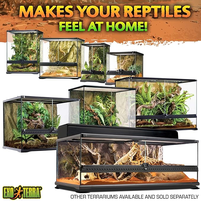 Exo Terra Glass Terrarium Kit, for Reptiles and Amphibians, Nano, 8 x 8 x 8 inches, PT2599A1