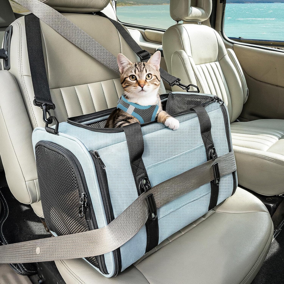 PETSFIT Soft-Sided Cat Carriers & Car Seats with Patent Safe Buckles, Clip-On Harness，18"x11"x11" Airline Approved Pet Carrier - 9 lbs Capacity (Cyan Blue)