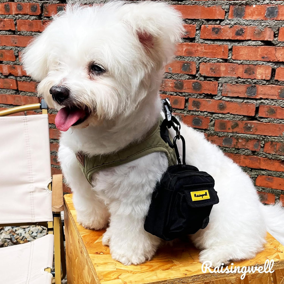 Dog Treat Pouch for Pet Walking and Training with Clicker, Poop Bags, and Three Bags Design Small Fanny Zipper Pack Holder for Puppy Snack Dispenser Kit for Leash and Outdoor Use (Black)