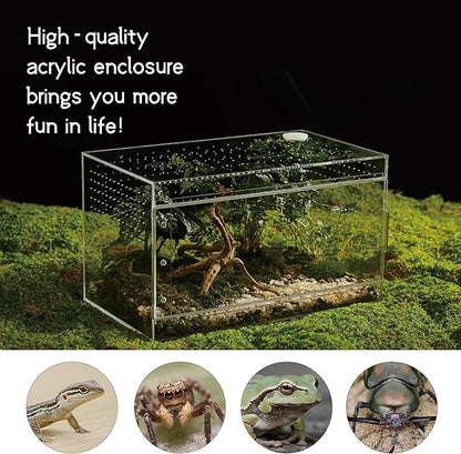 Acrylic Terrarium for Reptiles & Spiders – Small/Medium/Large Leak-Proof Enclosure (Horizontal/Vertical) | Ideal for Tarantulas, Jumping Spiders, Frogs & Geckos (Large, Horizontal)