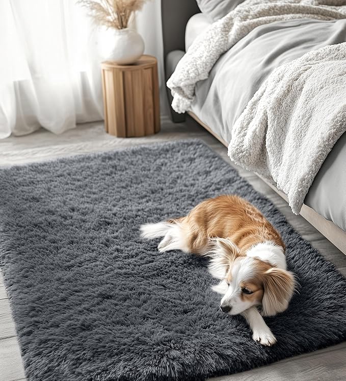 OLANLY 3x5 Machine Washable Small Bedside Rug, Soft Fluffy Shaggy Rugs for Living Room, Bedroom, Indoor Floor Carpet for Kids Girls and Boys, Preppy Dorms, Nursery, Home Decor Aesthetic, Grey