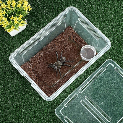 Irenare 8 Pcs Reptile Breeding Box Plastic Spider Terrarium Tarantula Feeding Box for Bearded Dragon Lizard Spider Gecko Scorpion(Vent Strips,Clear,10.6 x 7.4 x 4.7 Inch)
