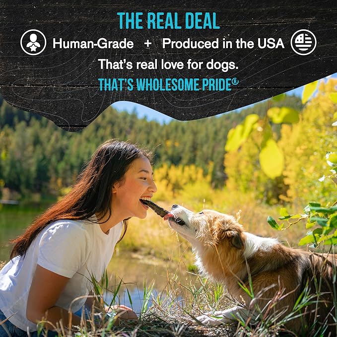 Wholesome Pride Smoked Salmon Skins Natural Healthy Dog Treats, USA Made Sustainably Sourced Dehydrated Treats, 4oz