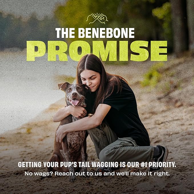 Benebone 2-Pack Rubber Ball