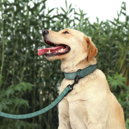 Didog Soft Padded Leather Dog Collar and Leash Set, Adjustable and Breathable Pet Collars with 4FT PU Leather Dog Leash for Small Medium Large Dogs, Green, XL