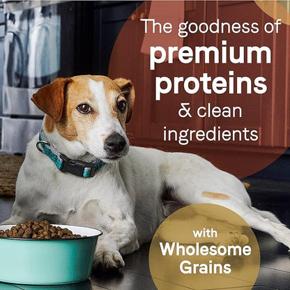 CANIDAE Pure Limited Ingredient Premium Puppy Dry Dog Food, Real Salmon & Oatmeal Recipe, 4 lbs, with Wholesome Grains