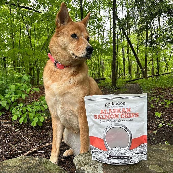 Polkadog Crunchy Alaskan Salmon Chips – Single Ingredient Dog Treats with Wild-Caught Salmon – All Natural, Grain-Free, Lean Protein & Omega-3 Rich Snacks for Dogs – Handcrafted in USA - 2.75 oz