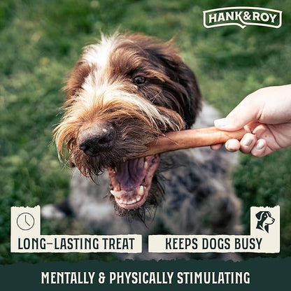Hank & Roy All-Natural, Single-Ingredient Dog Bully Sticks, Long Lasting, Easily Digestible Dog Chews, Antibiotic and Hormone Free 6” Beef Pizzle Sticks for Dogs, Pack of 6
