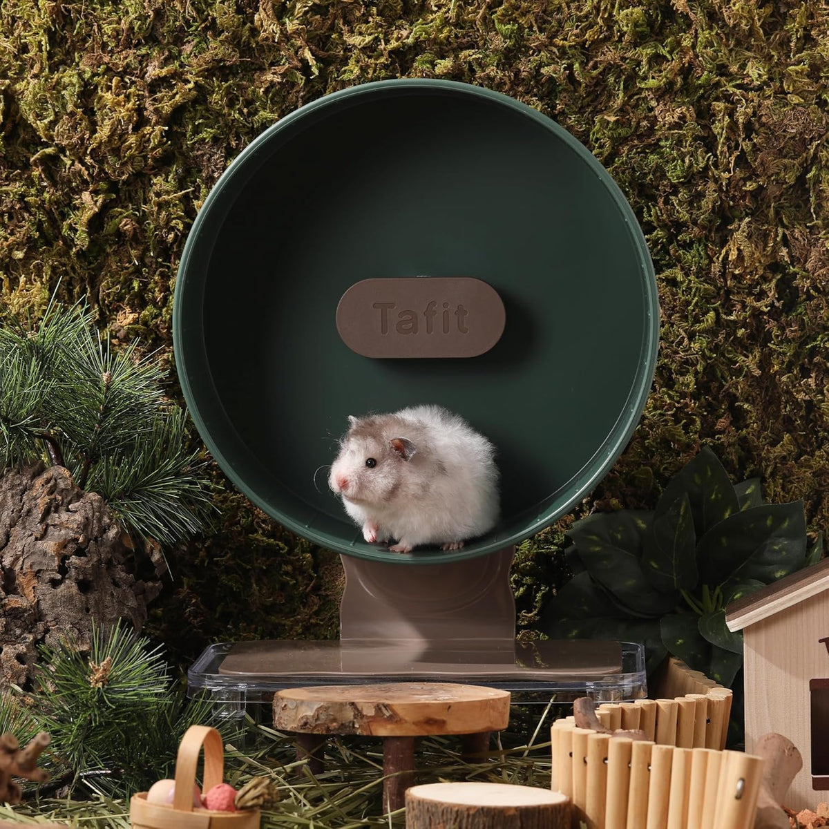 Silent Hamster Wheel 8.7 Inch Dual-Bearings Small Animals Quiet Running Exercise Wheels, Height Adjustable for Dwarf Hamsters, Gerbils, Mice, Hedgehog, or Other Small Pets, Avocado Green
