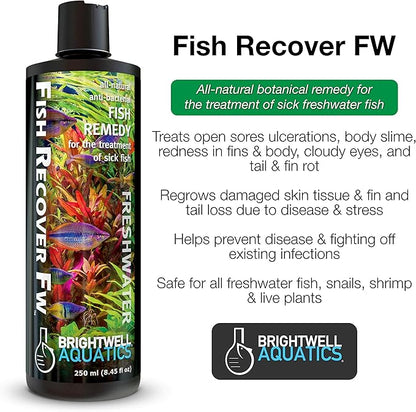 Brightwell Aquatics Fish Recover FW, Natural Herbal Medication for Open Sores, 20 L
