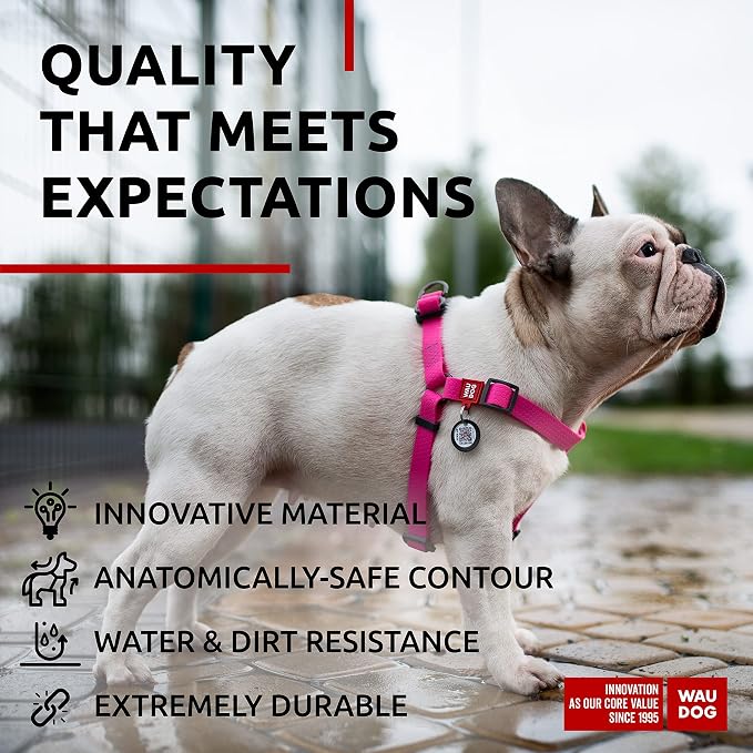 WAUDOG Waterproof Dog Harness and 6 Ft Leash Set - Adjustable, Heavy Duty with Durable Metal Clasp and QR Dog Tag