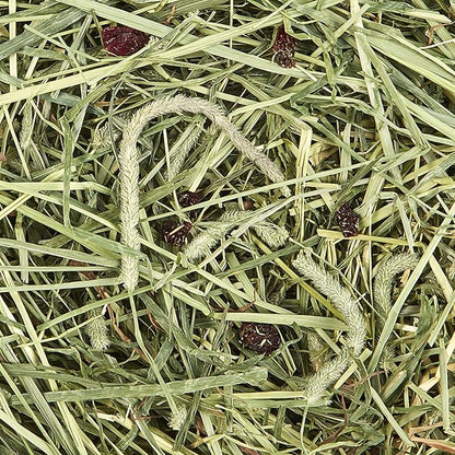 Kaytee All Natural Timothy Hay Plus Cranberries for Guinea Pigs, Rabbits & Other Small Animals, 24 Ounce (Pack of 2)