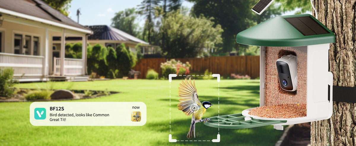 Smart Feeder Surveillance Wireless Camera